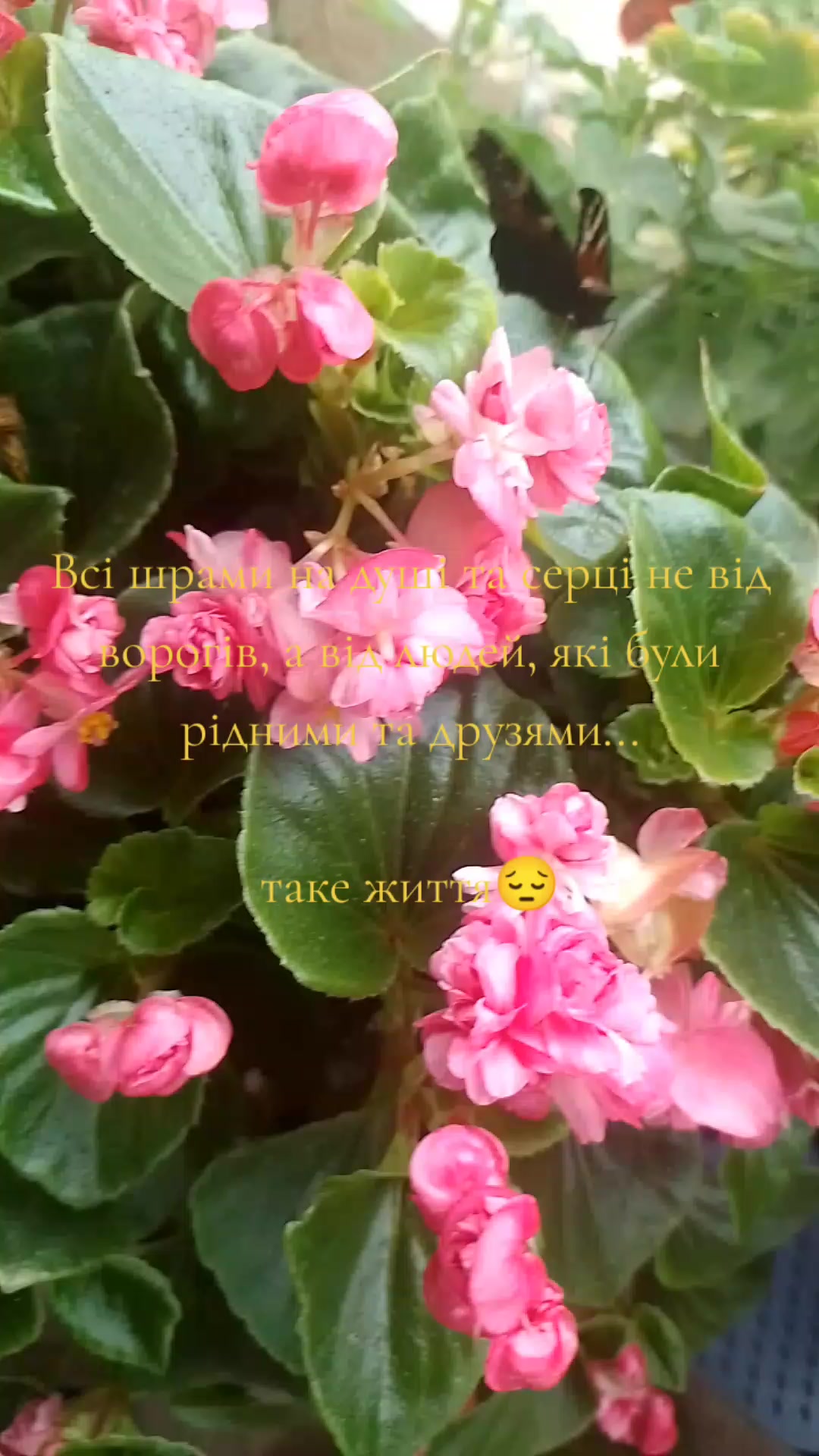 @💙Леся💛