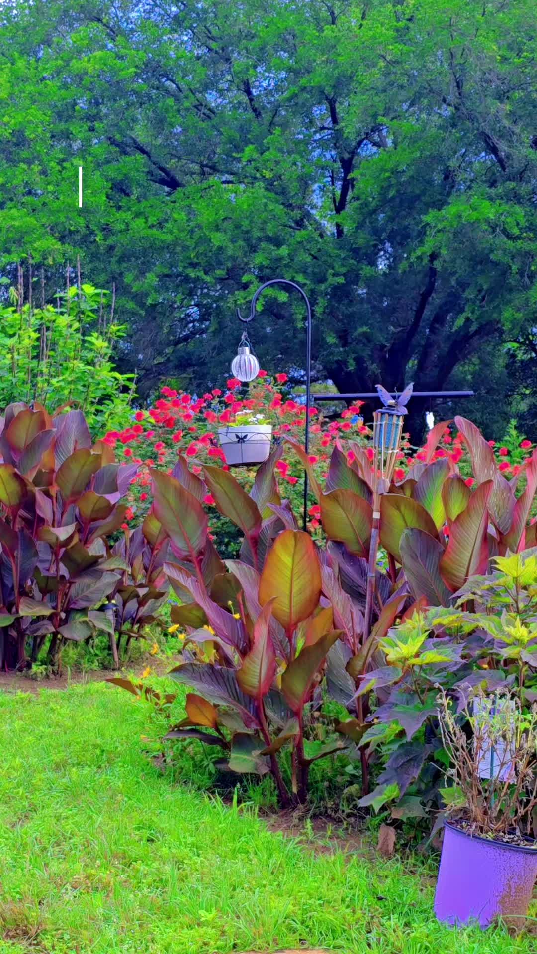 @Meakahomestead_00