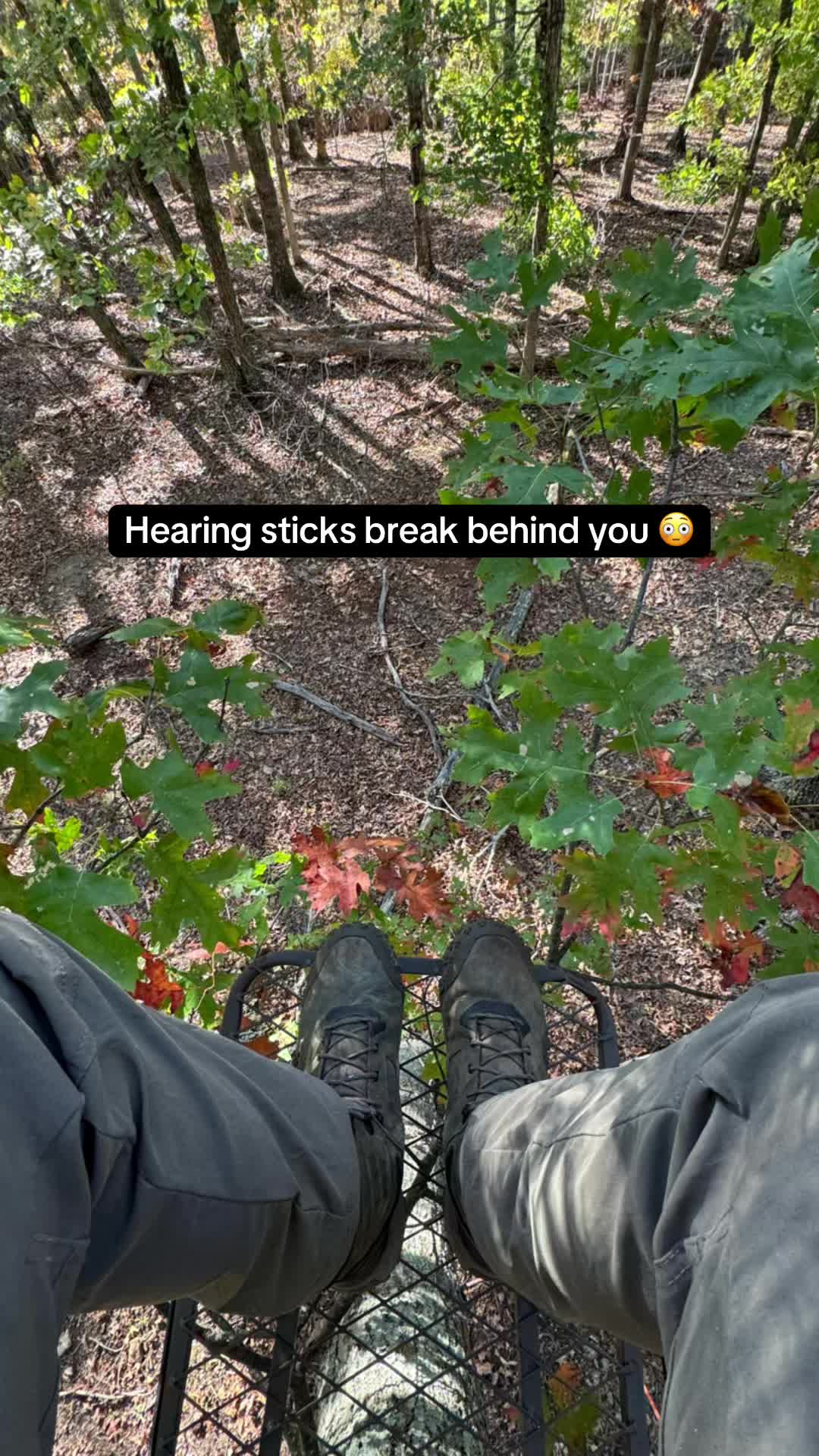 @wyatt_afton