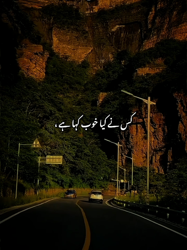 @Arooj 🦋🌼