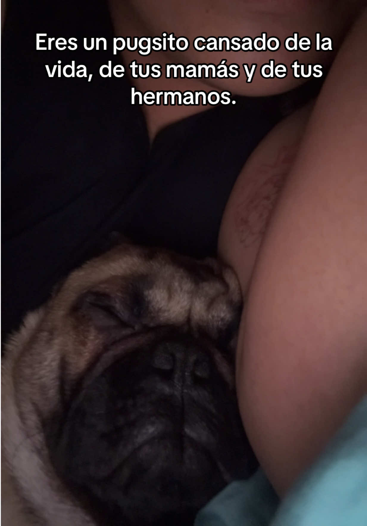 @Cristy 🦦