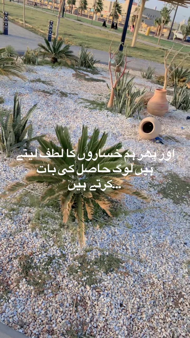 @مرشد 804 🇵🇰