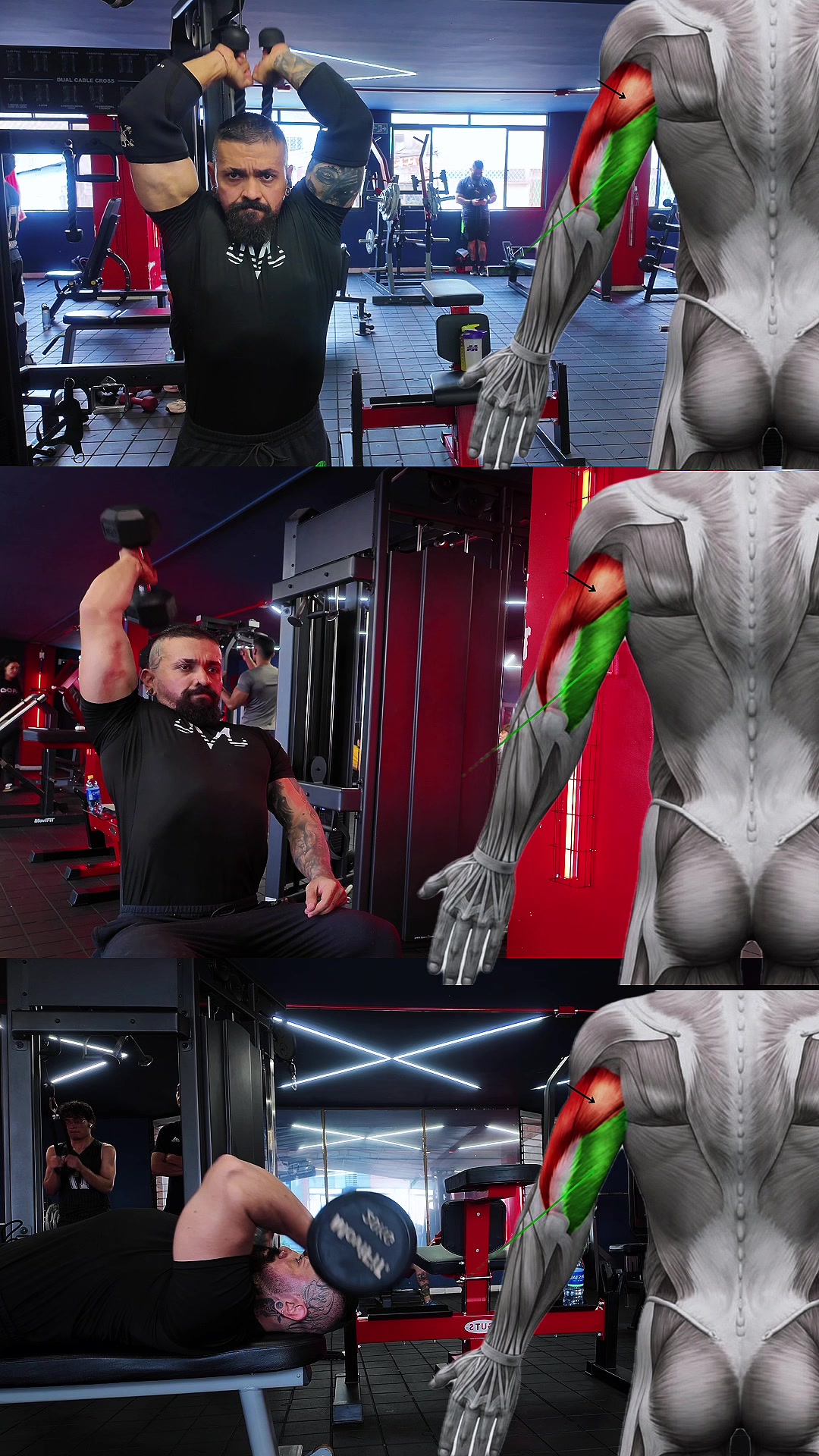 @gcarlomerida