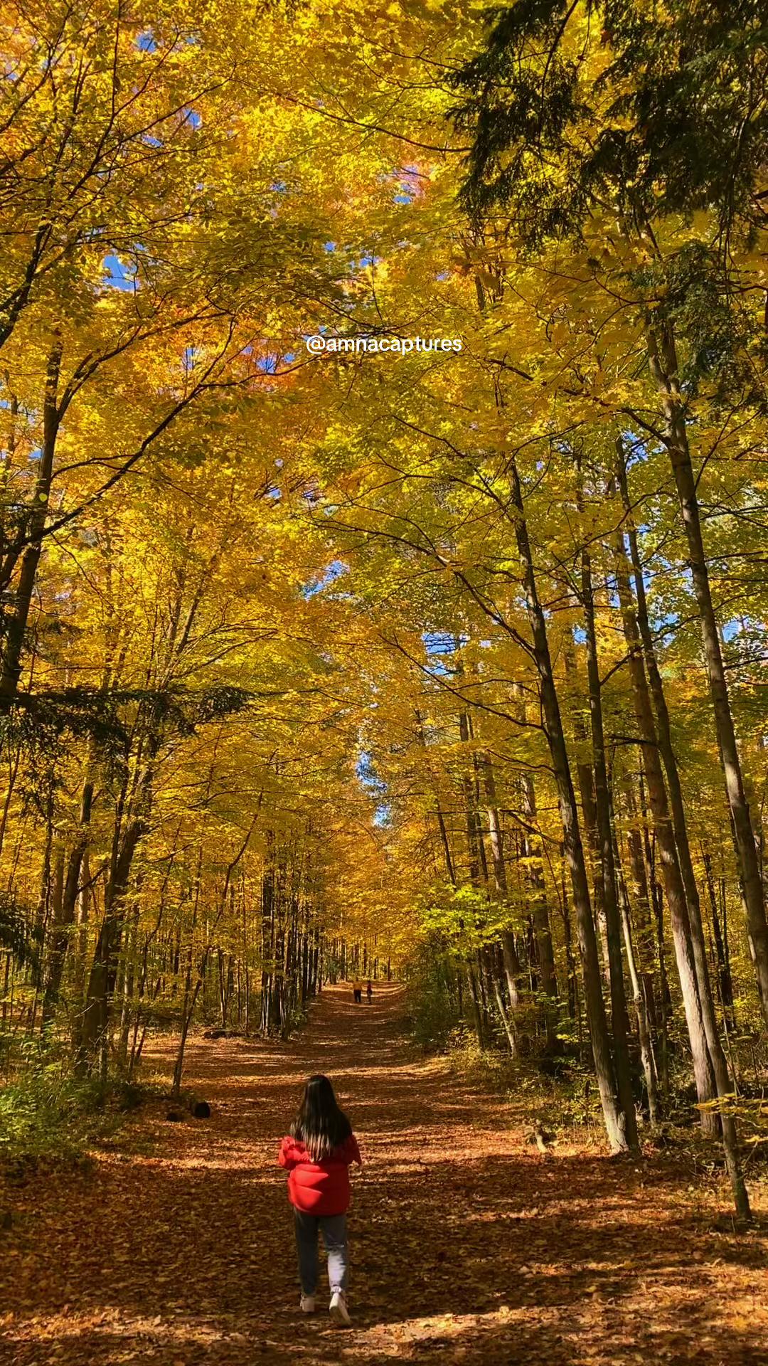 @Nature lover  🇨🇦