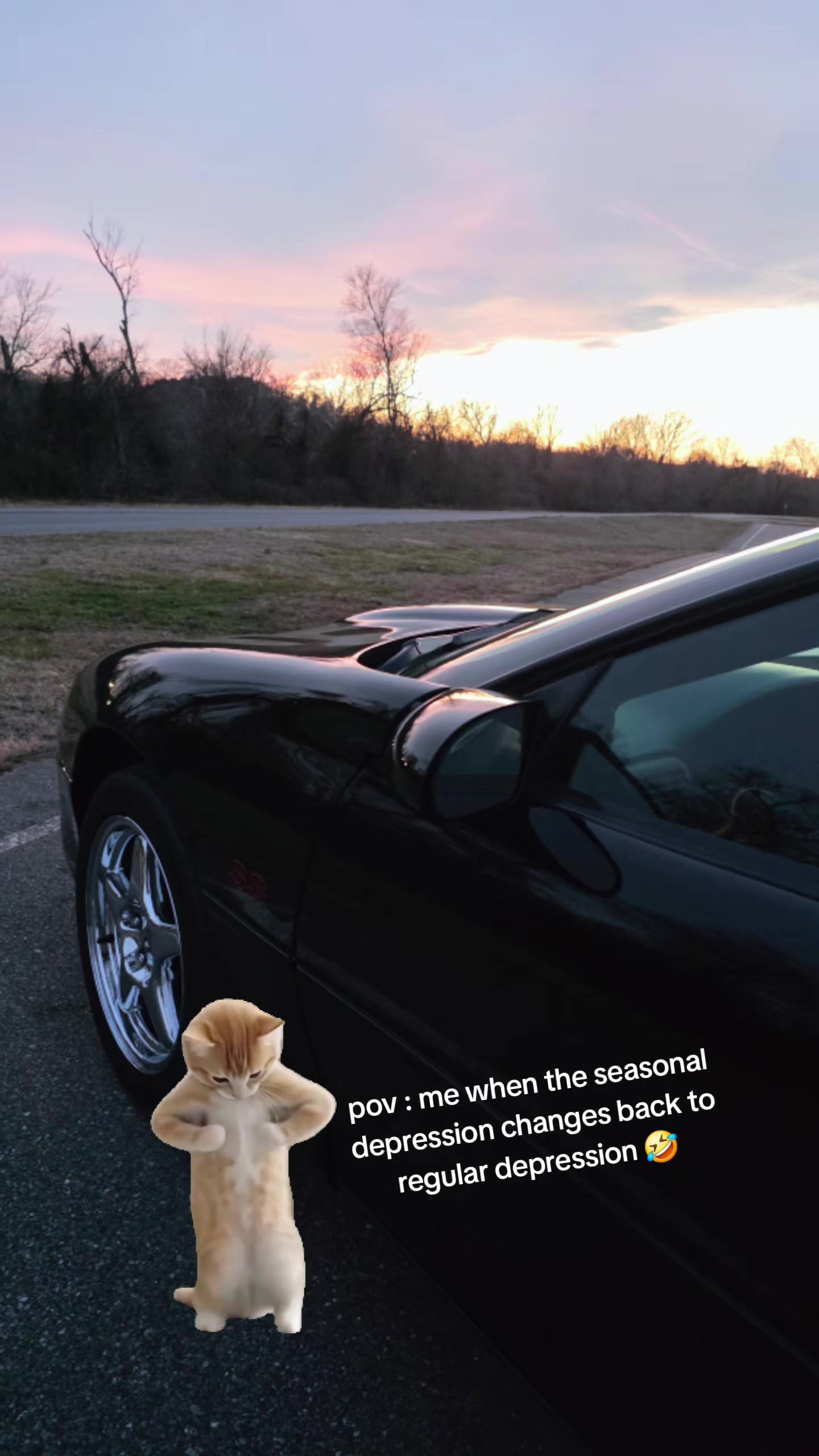 @tjs99ss
