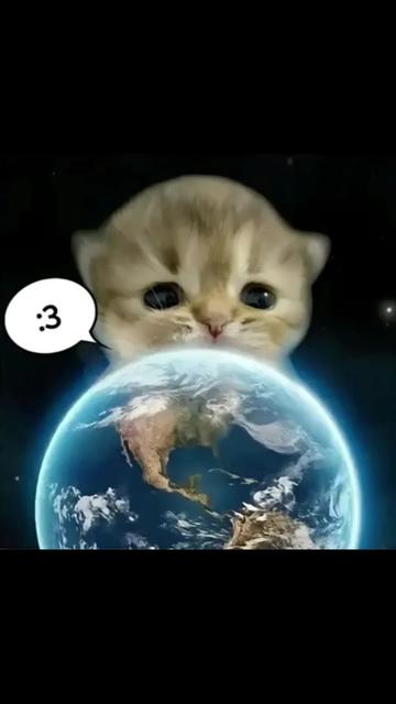 @Sindy123!