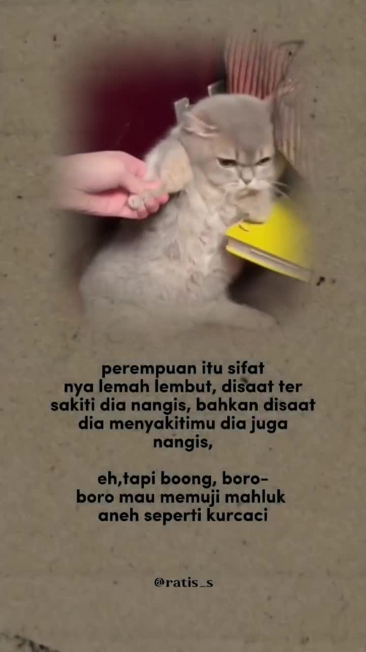 @ratsss