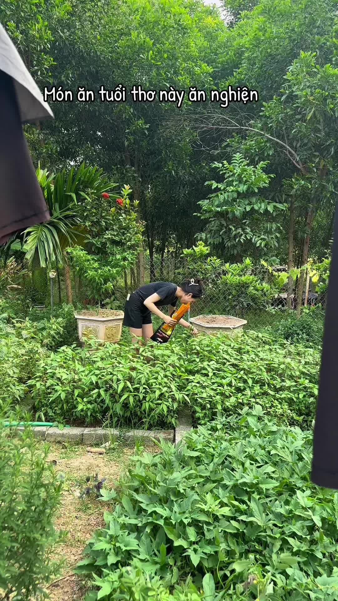 @Toản tưng tửng