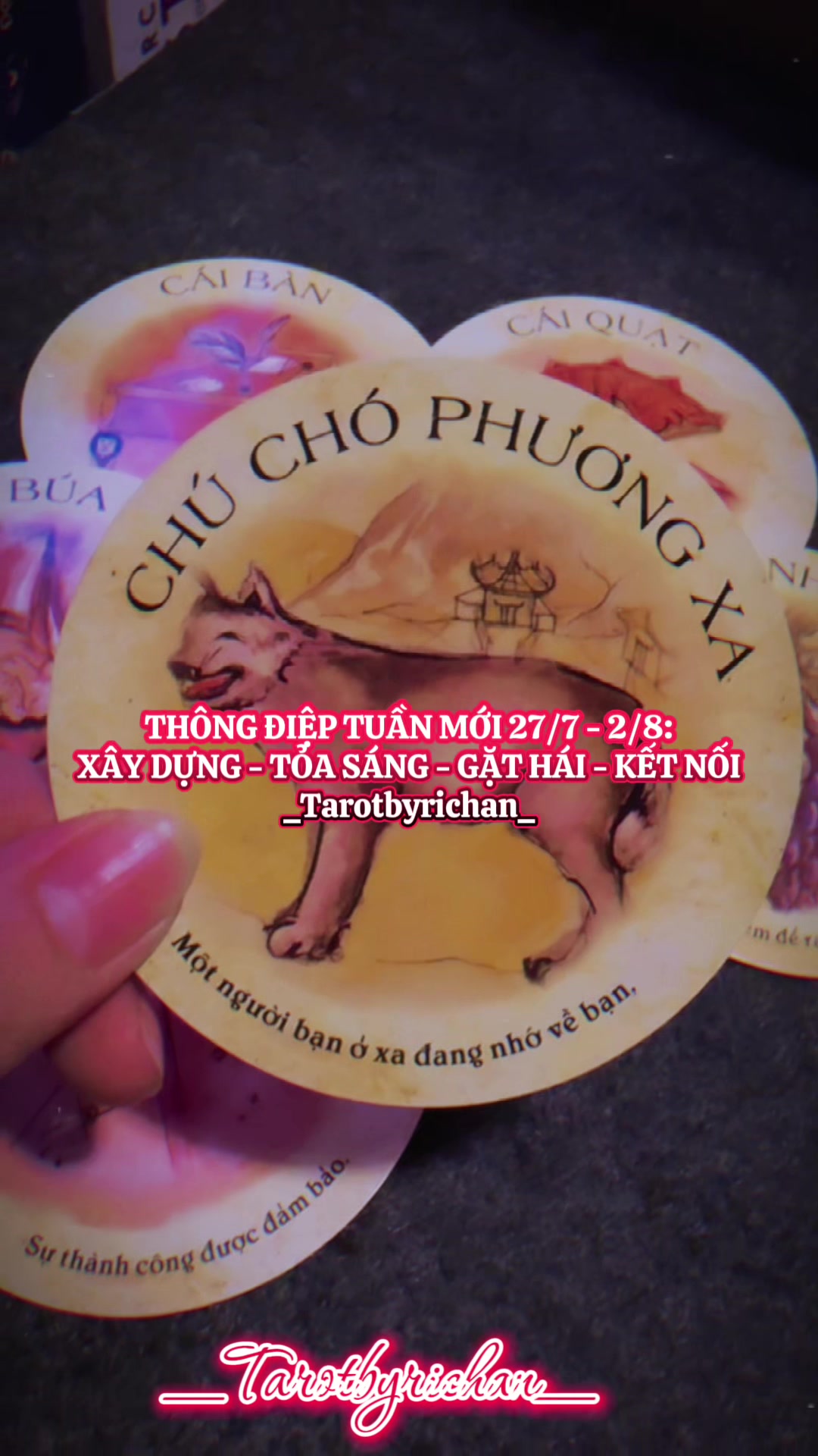 @𝚃𝚊𝚛𝚘𝚝 𝙱𝚢 𝚁𝚒𝚌𝚑𝚊𝚗🔮