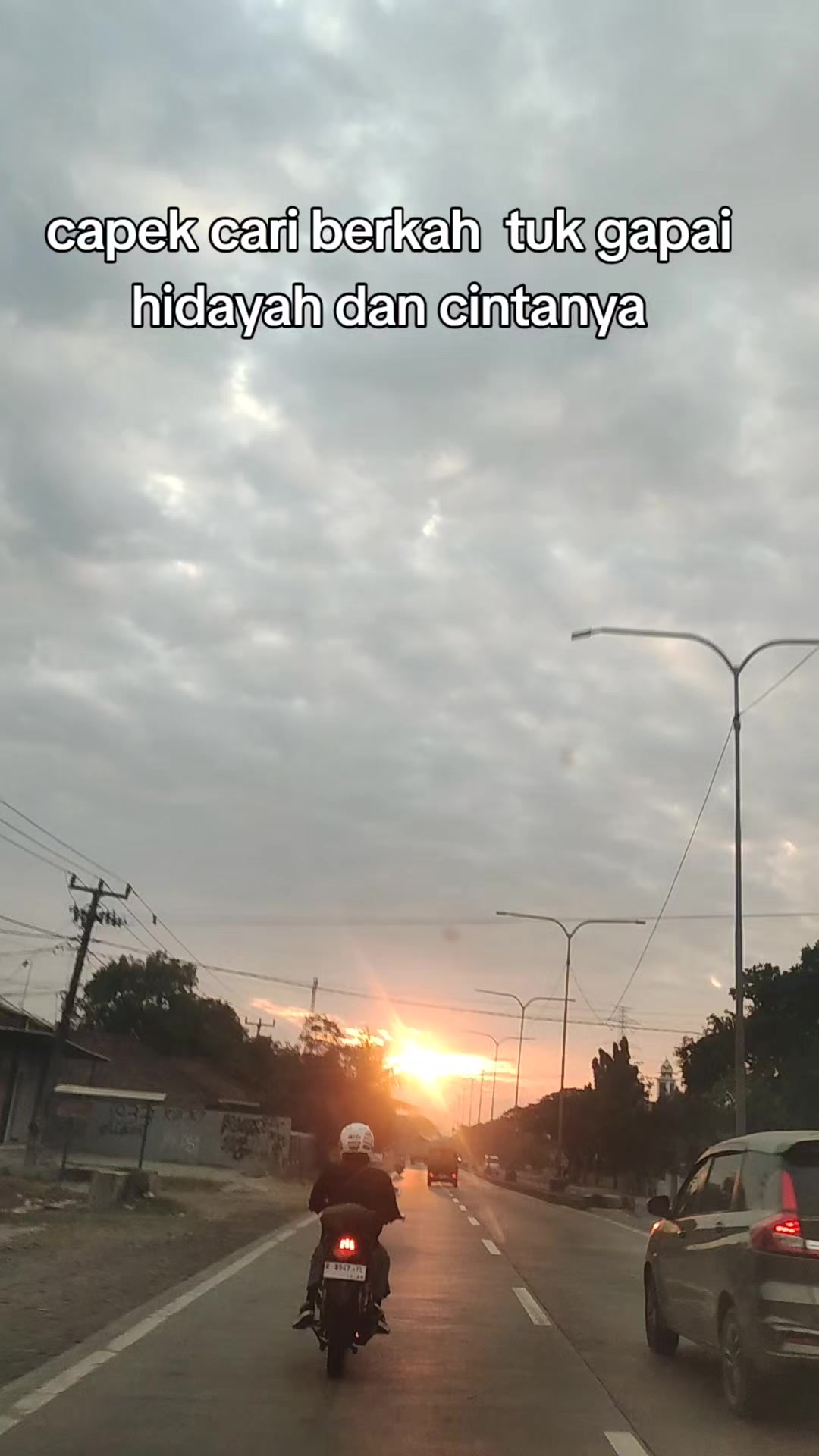 @ANCENE
