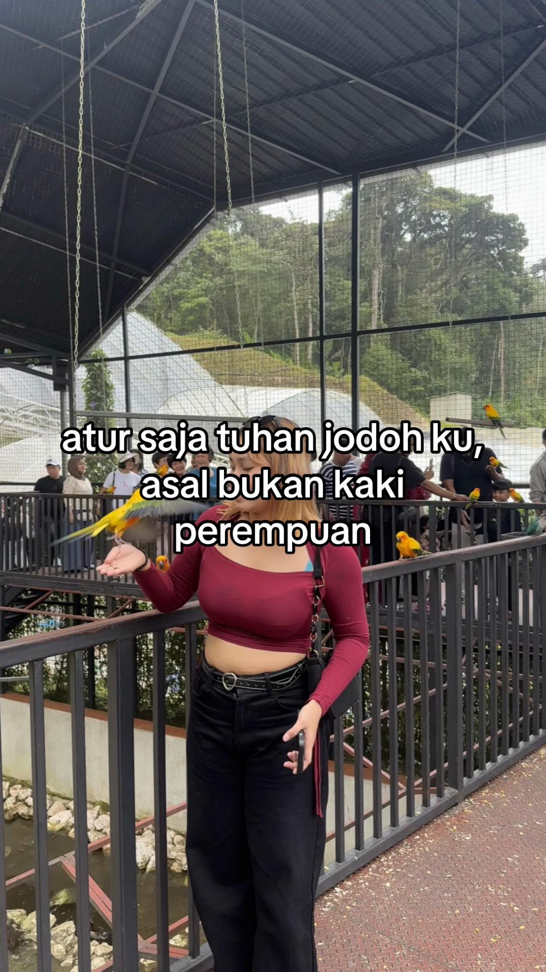 @yourmanje🦋