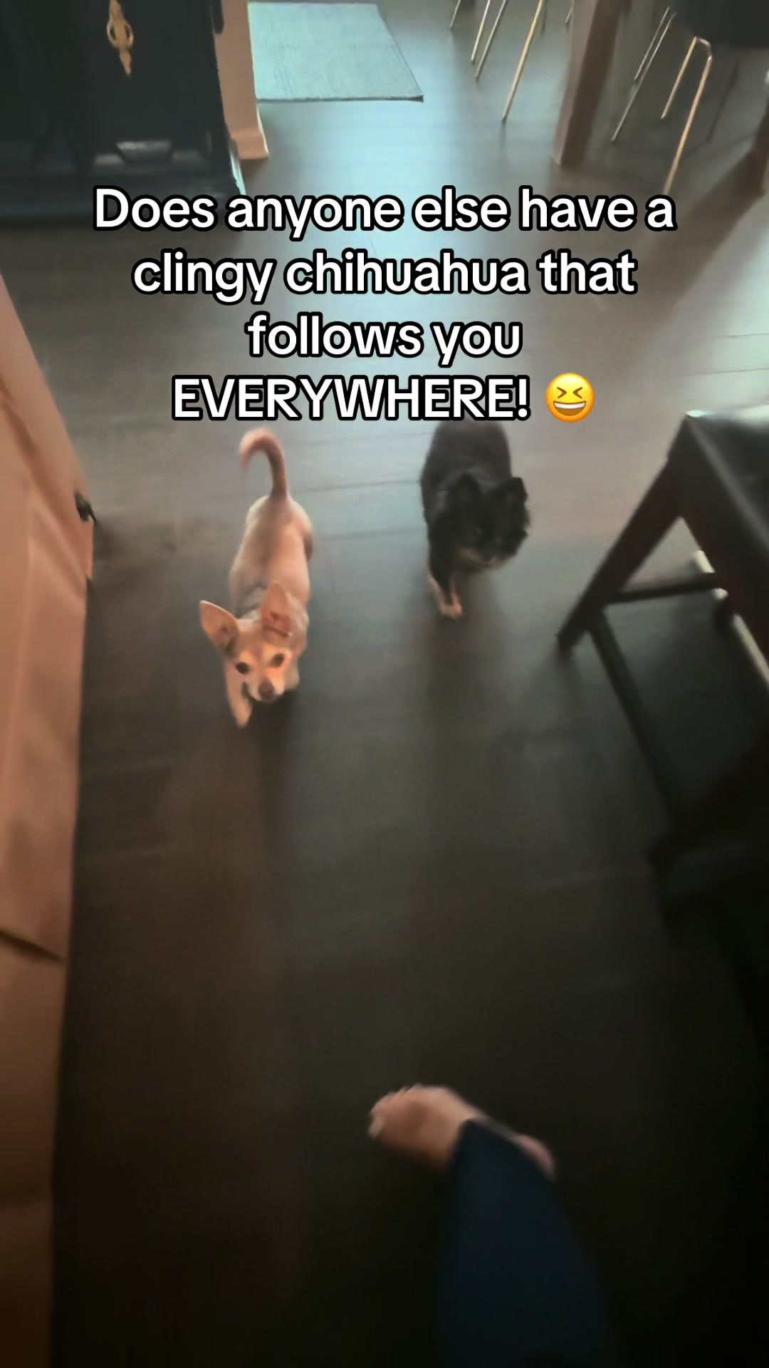 @AdriennePeacock