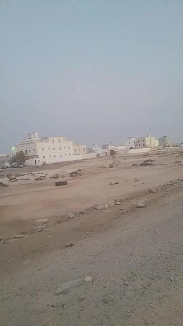 @chachar