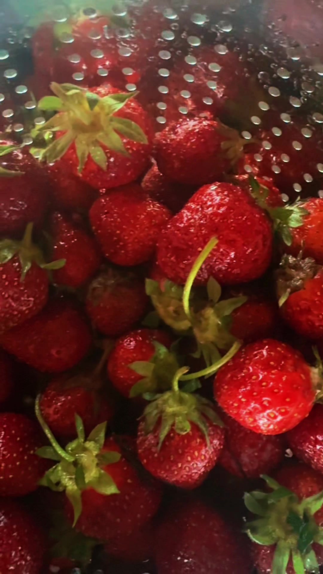 @Unreal Ranch Homestead