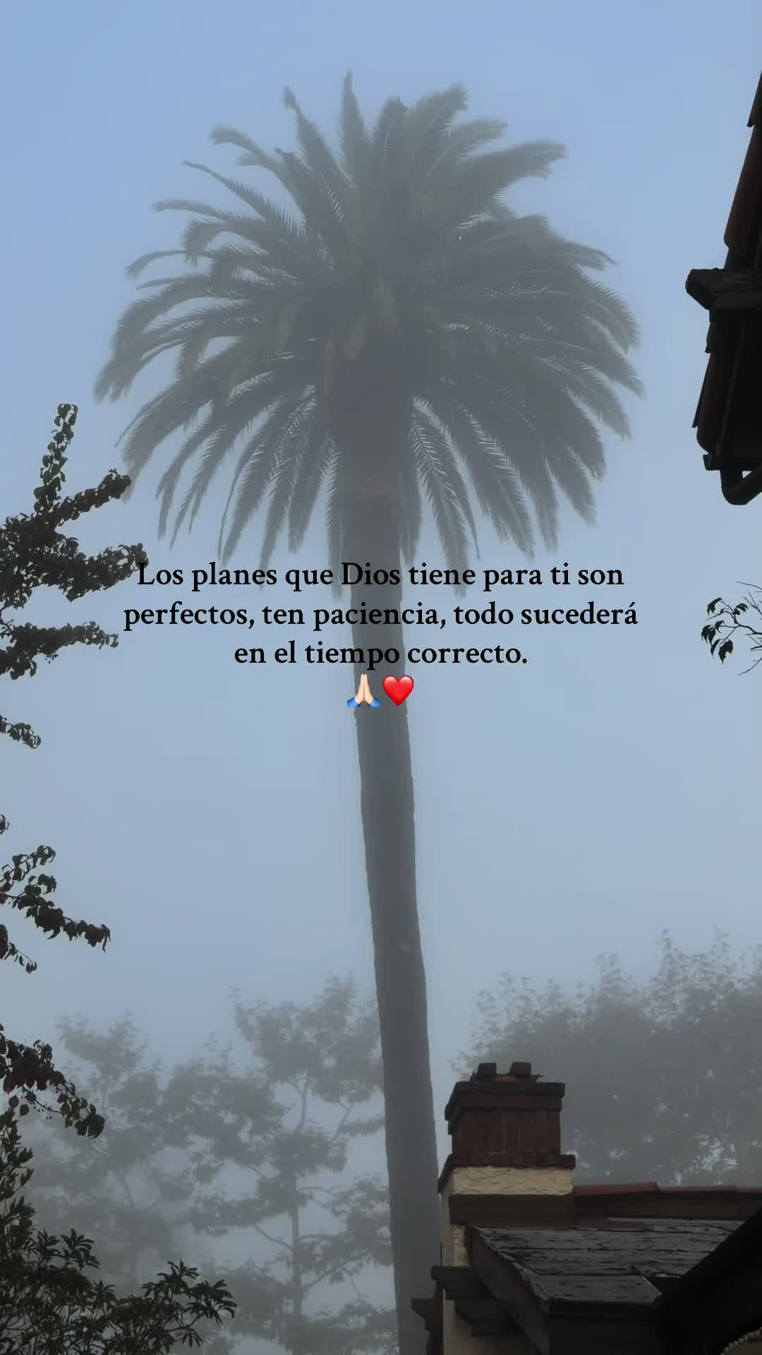 @Infinitas palabras🫀