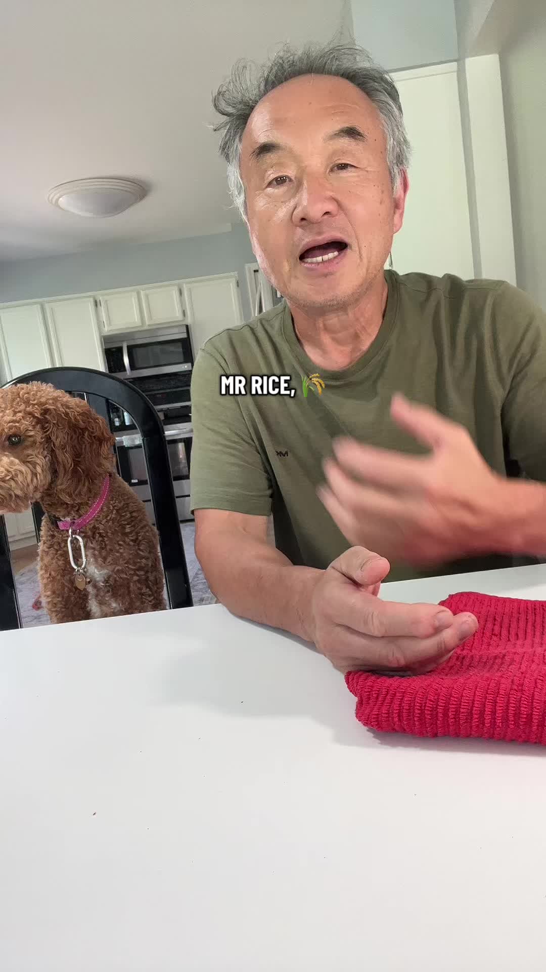 @Mrrice🌾