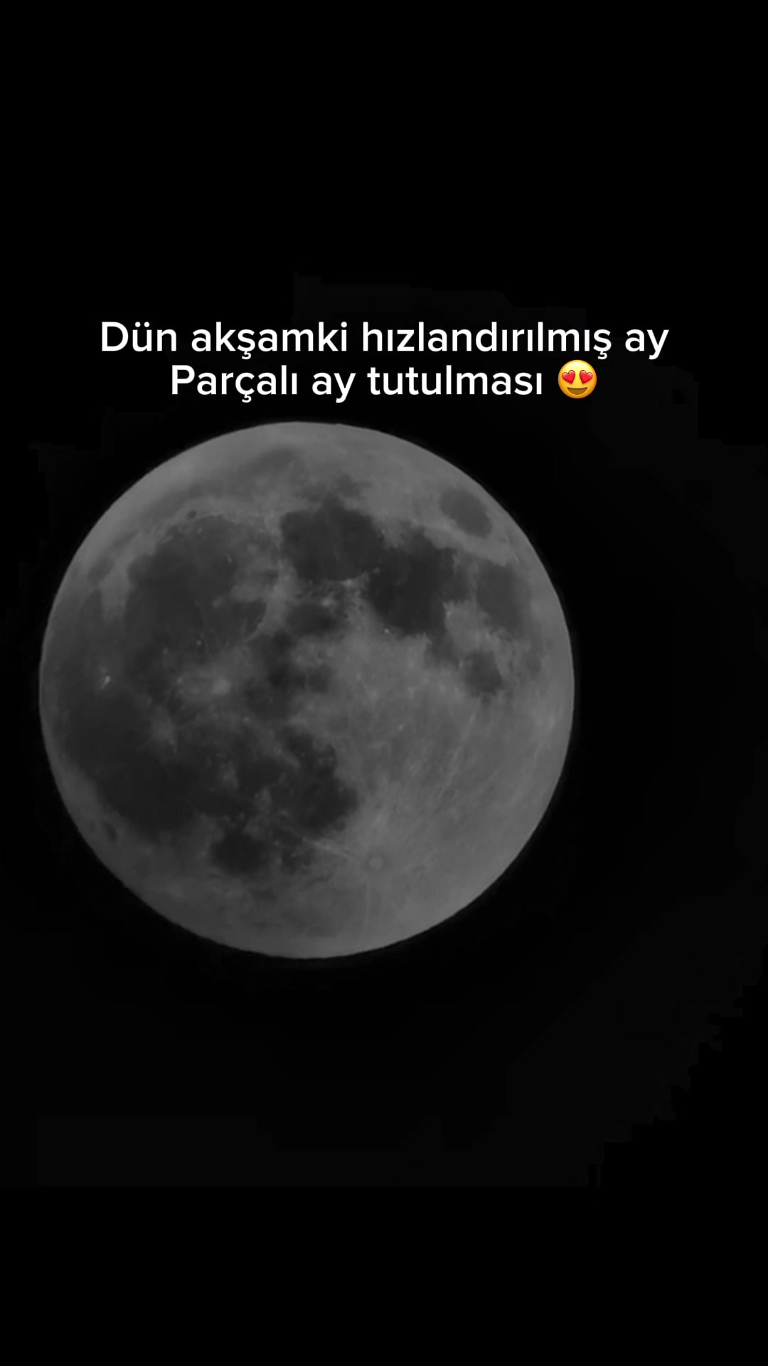 @Ferhat songur