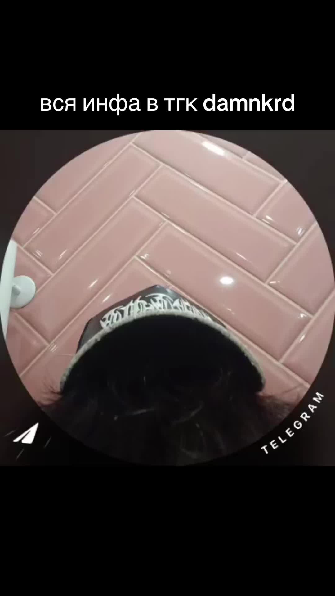 @ТКГ: zeromelegang
