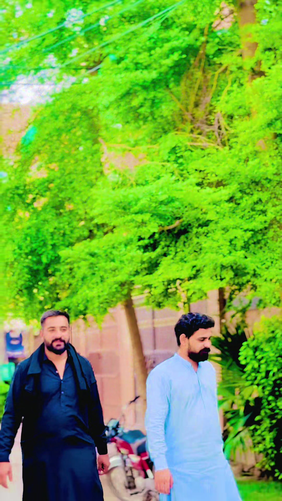 @Hamza Malik