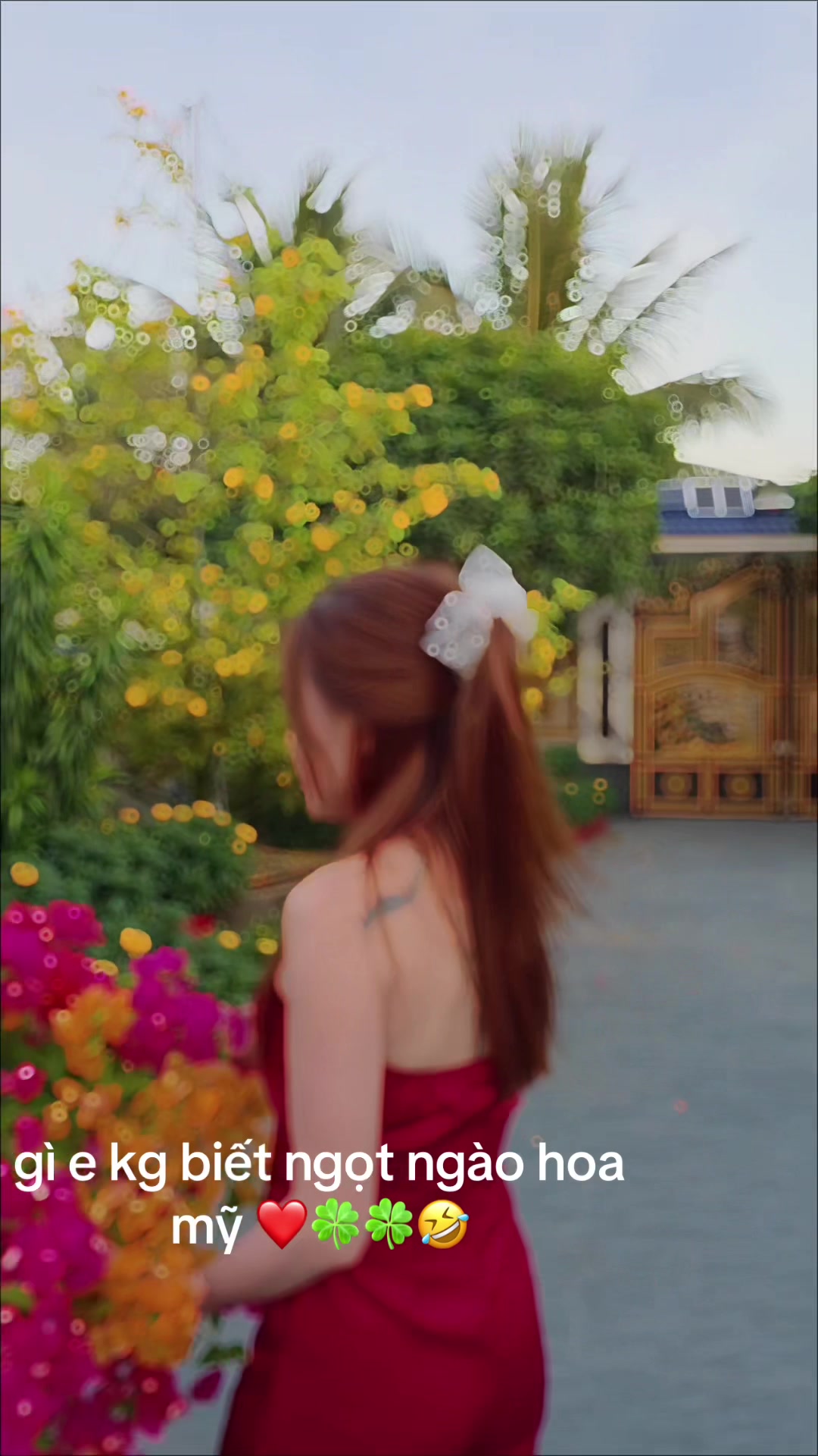 @My Anh U40