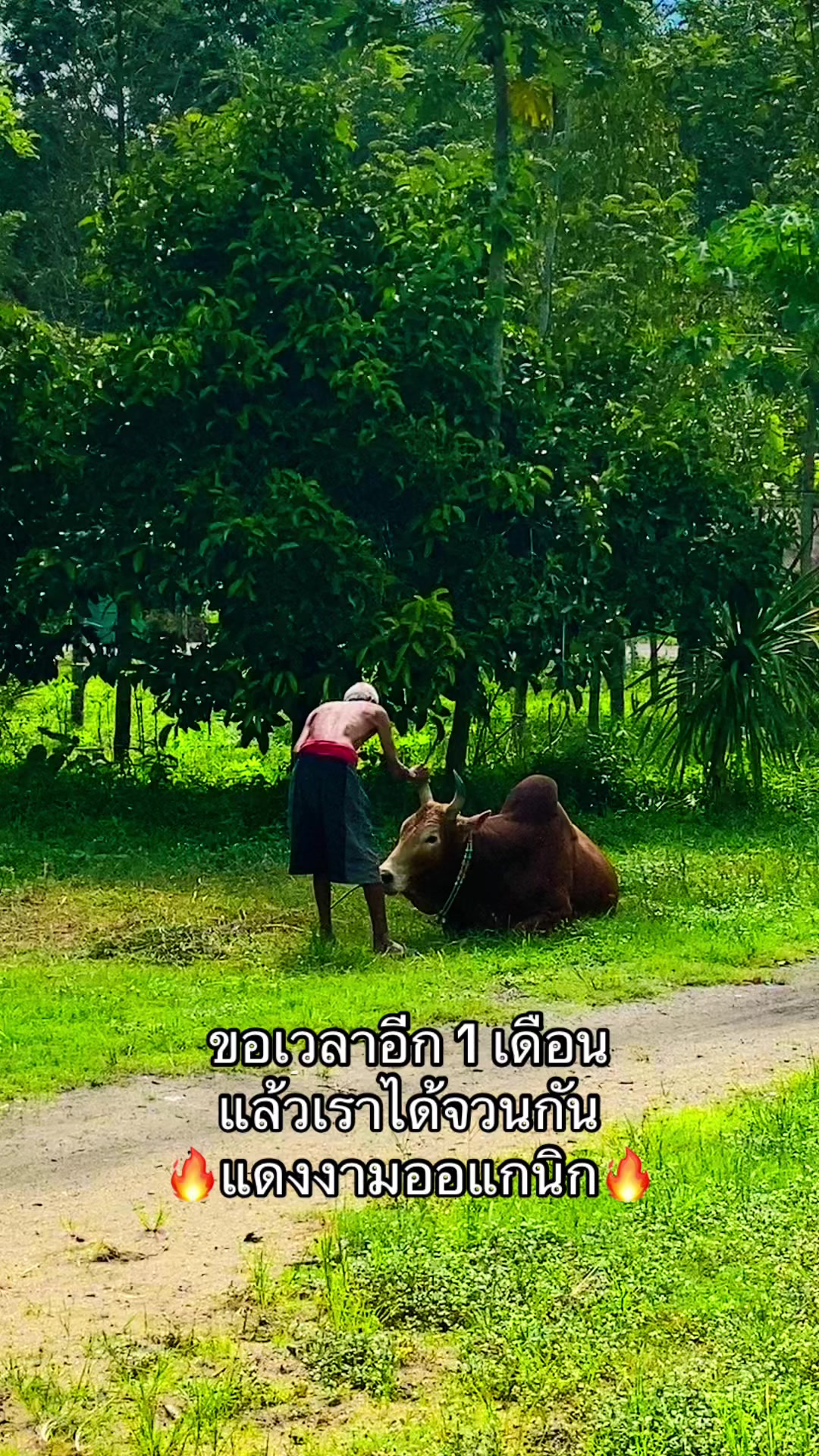 @ทำดีเข้าเเลก เพื่อกระเเทกหีเธอ