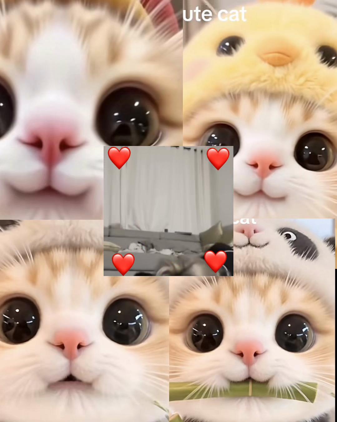 @🌸
