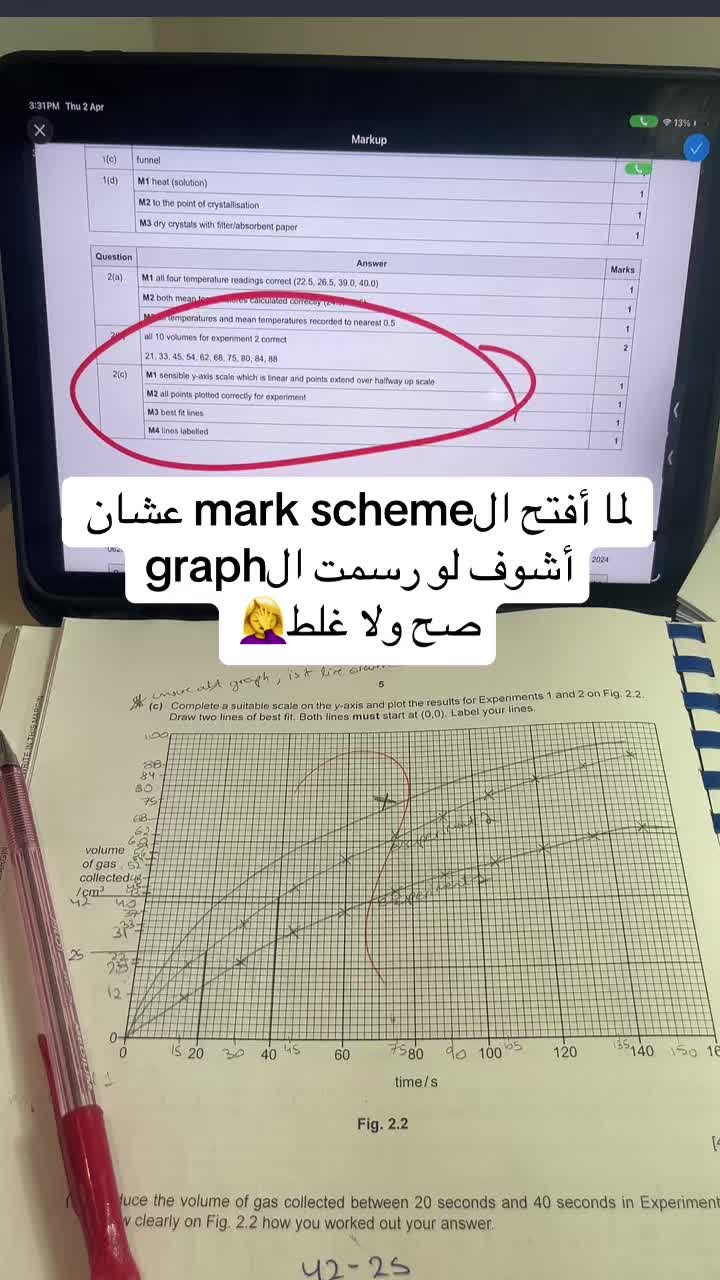 @nourzaghloul
