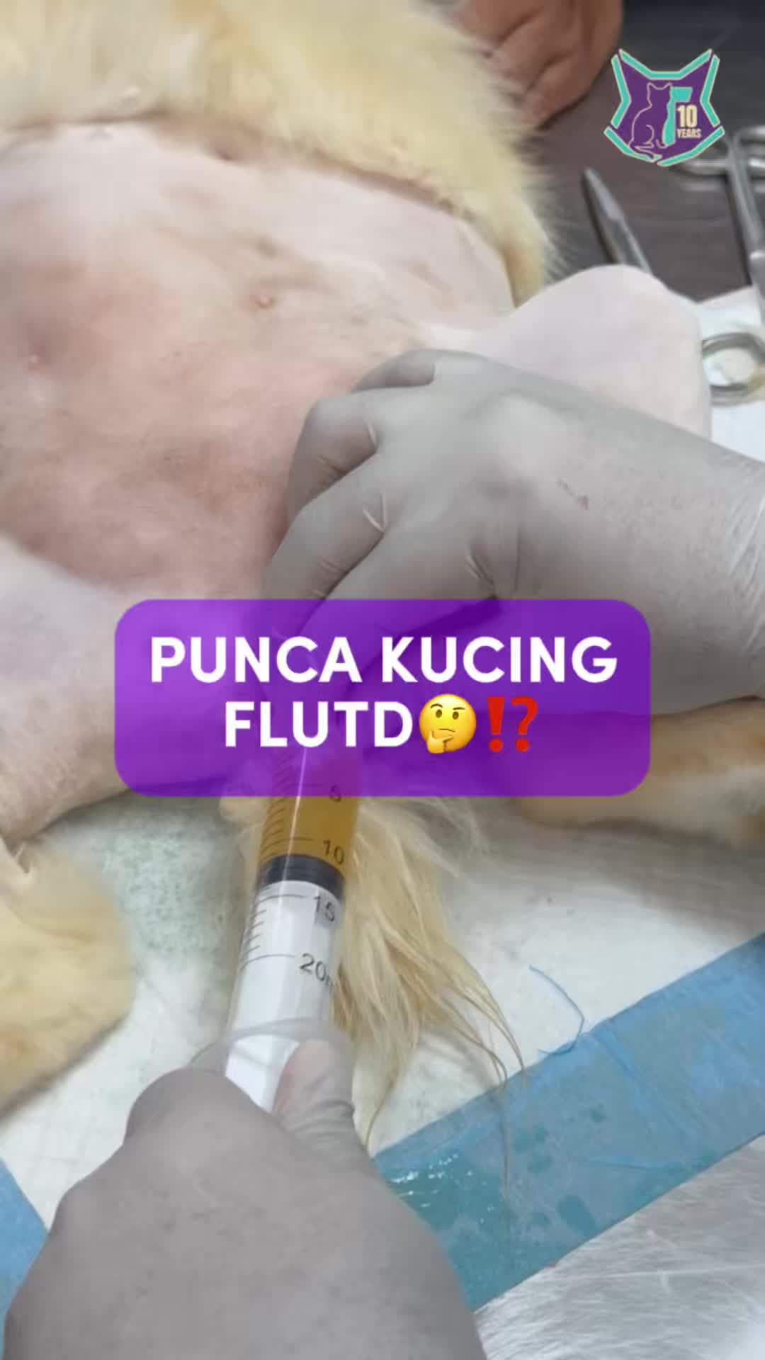 @Tuahvet