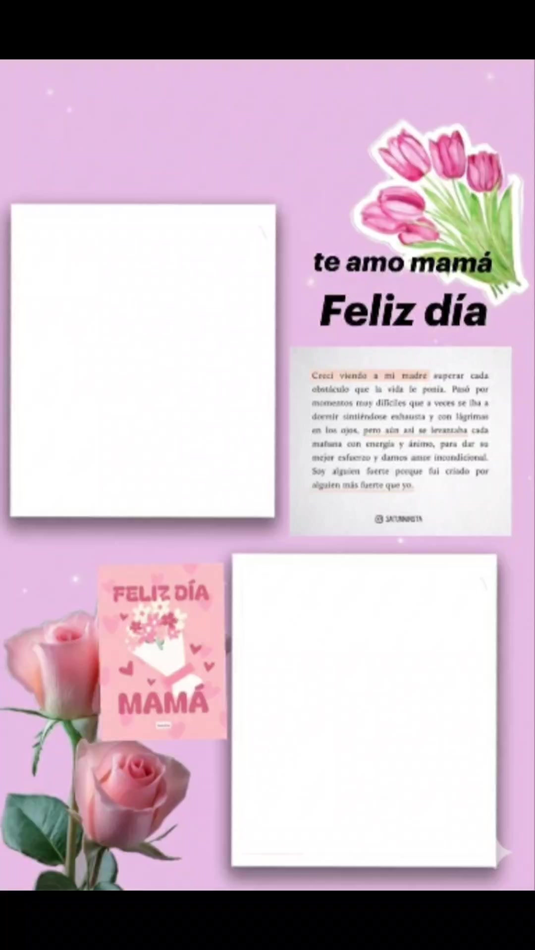 @susan paz