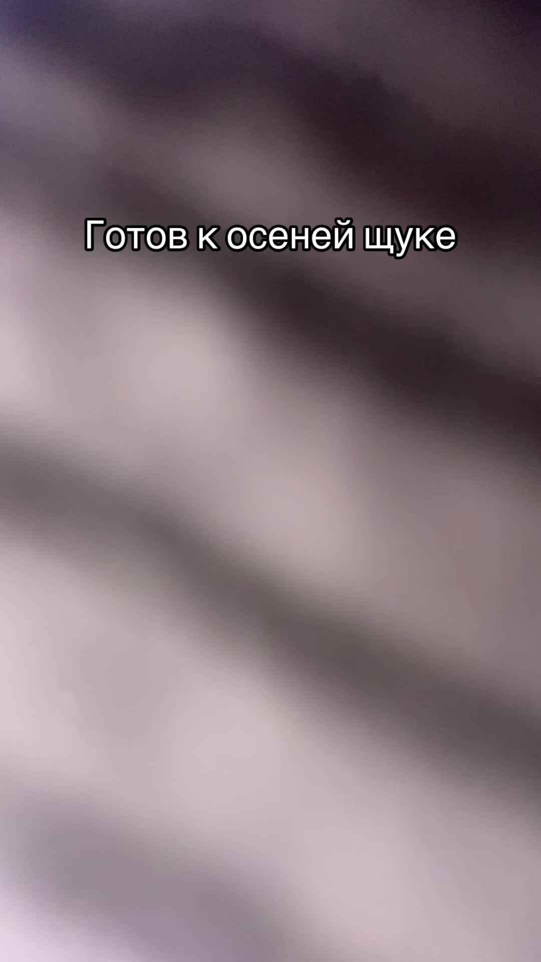 @Tri_shyki