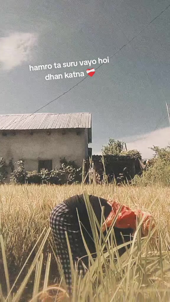 @Bipanasunar123❤️💘