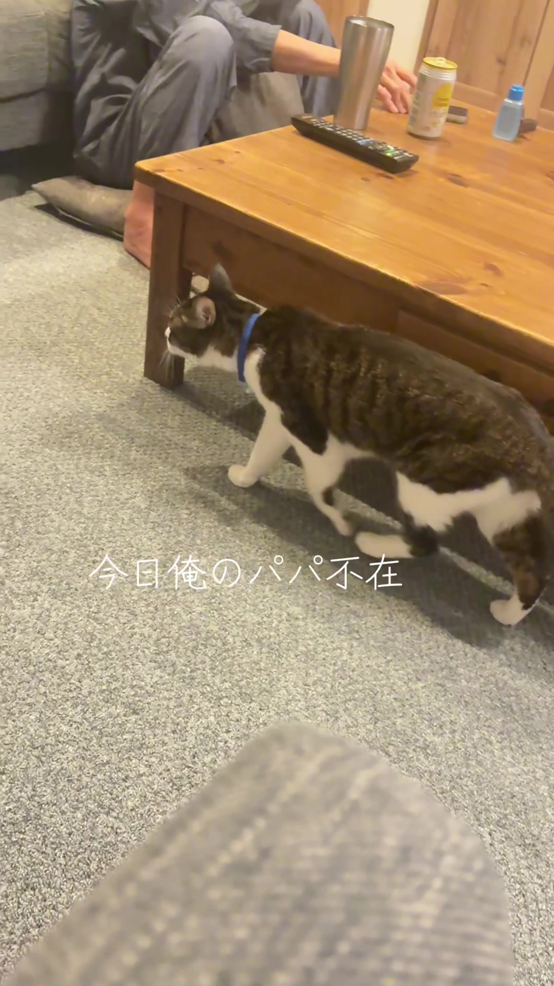 @さまむ〜