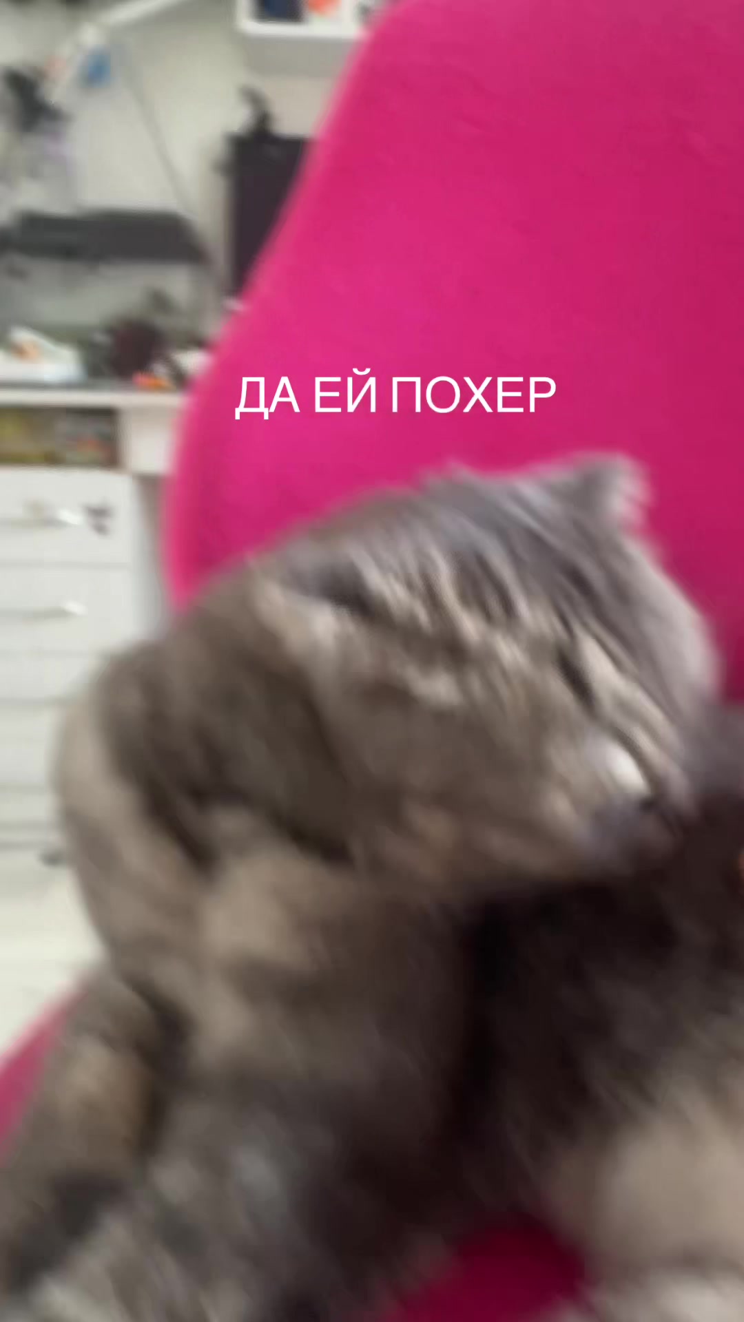 @/никсяна💅🏻🍒꧂