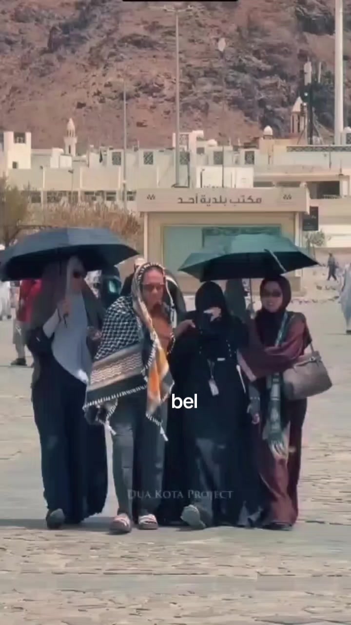 @blue🫧🦢