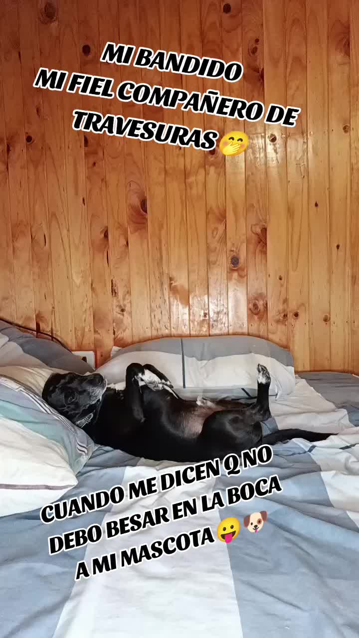 @Luisitolibra