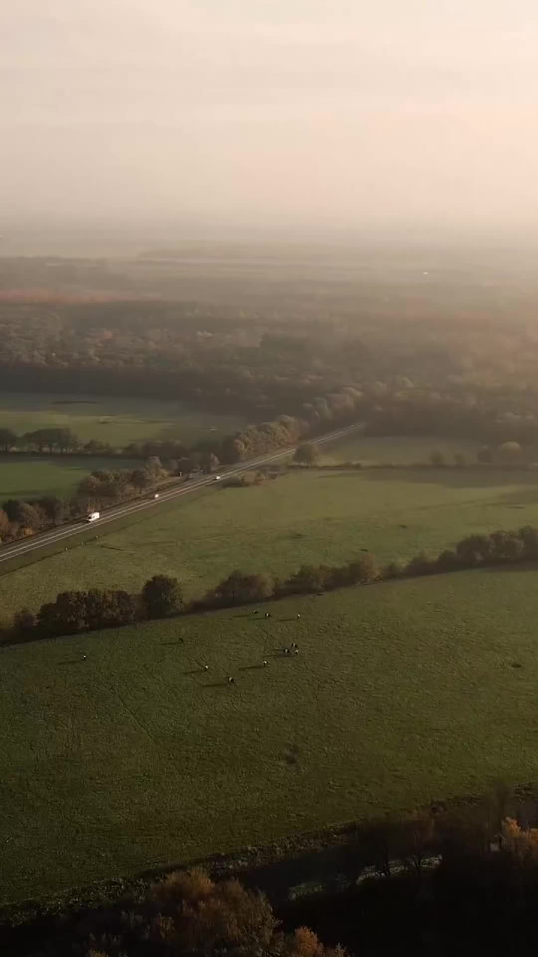 @Peacefultk