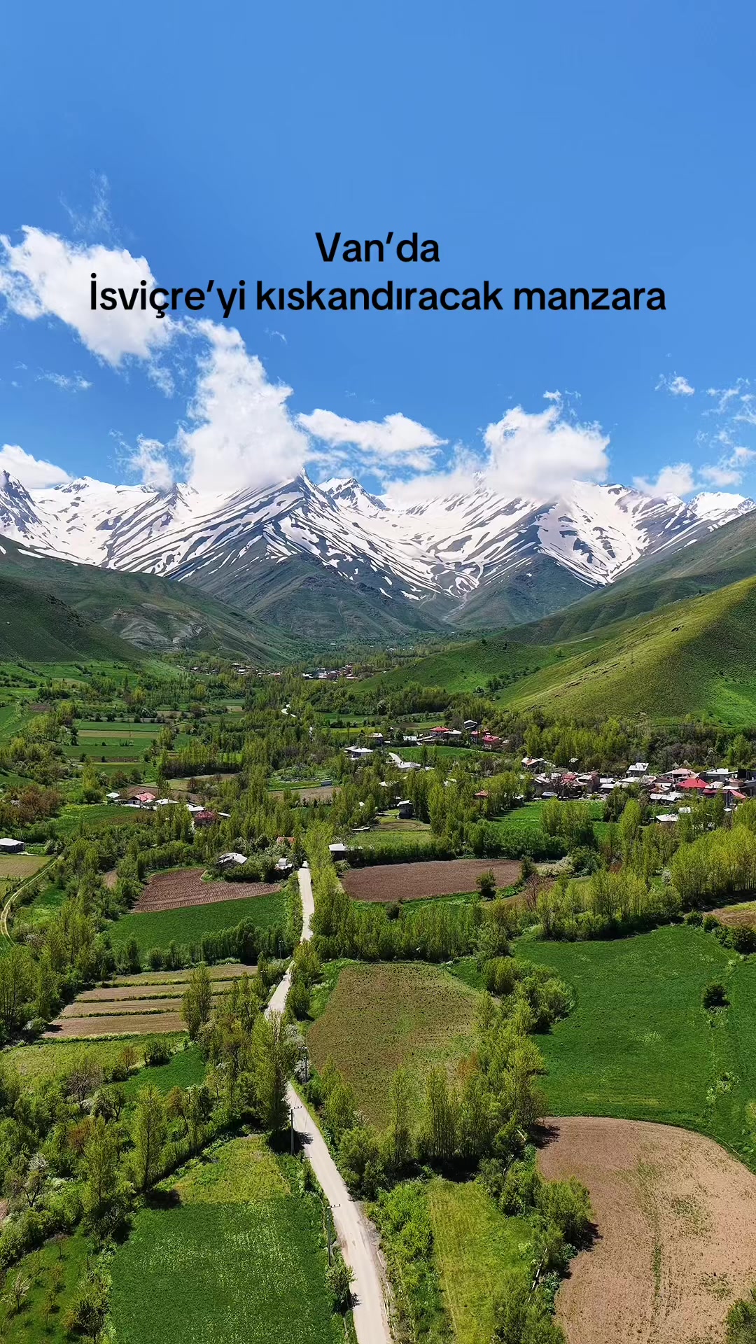 @Muzaffer Salcıoğlu