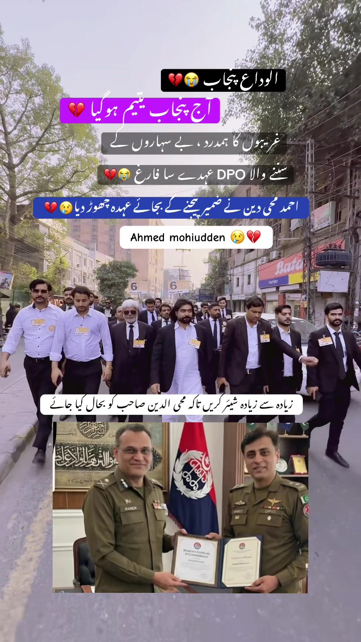 @Ansar Rasheed Advocate