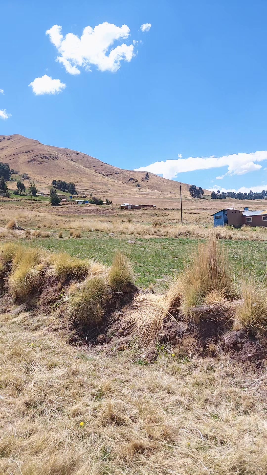 @🇵🇪antonio @cajamarca🇵🇪