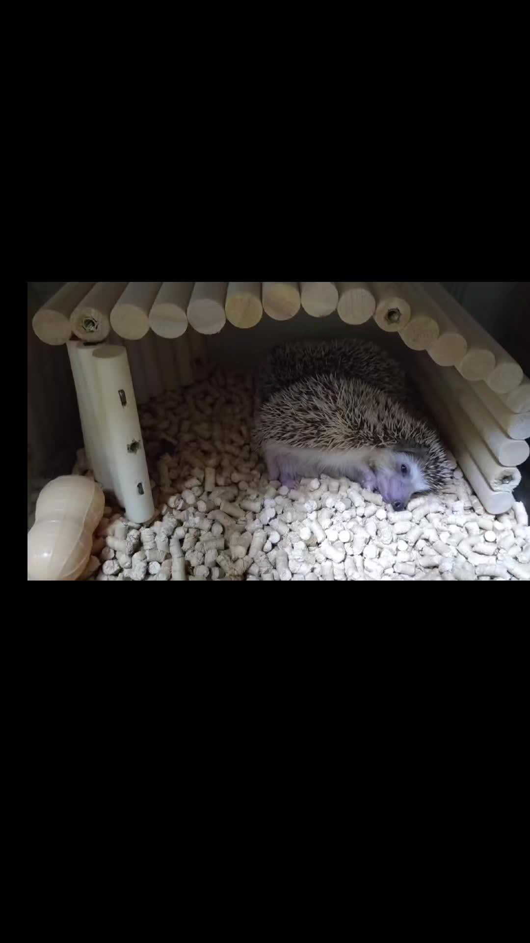 @ðŠãã«ããðŠ