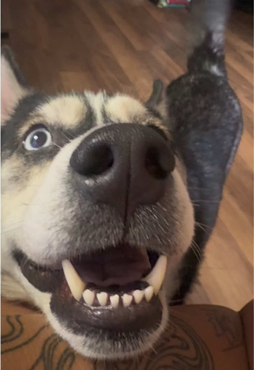 @gremworld