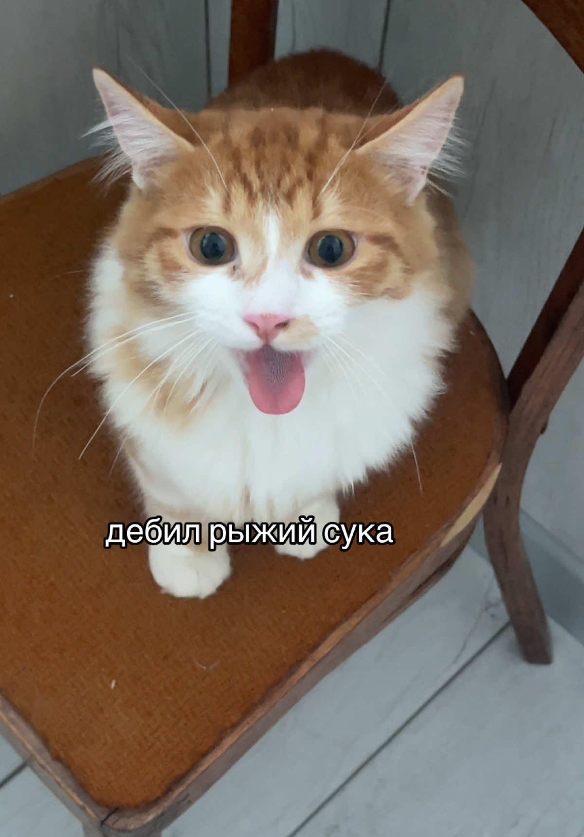 @анемия 🚩