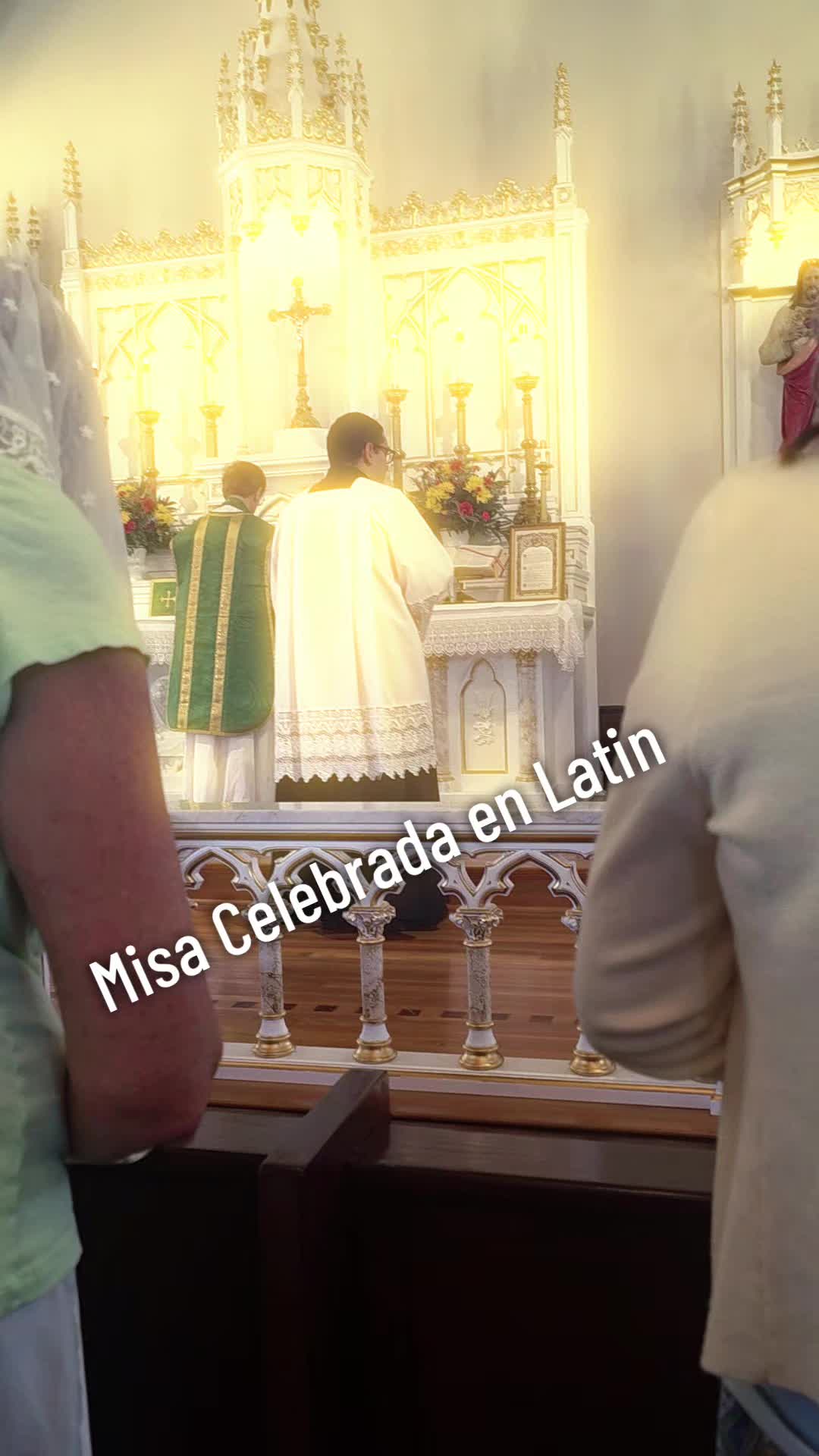@Norma Vega