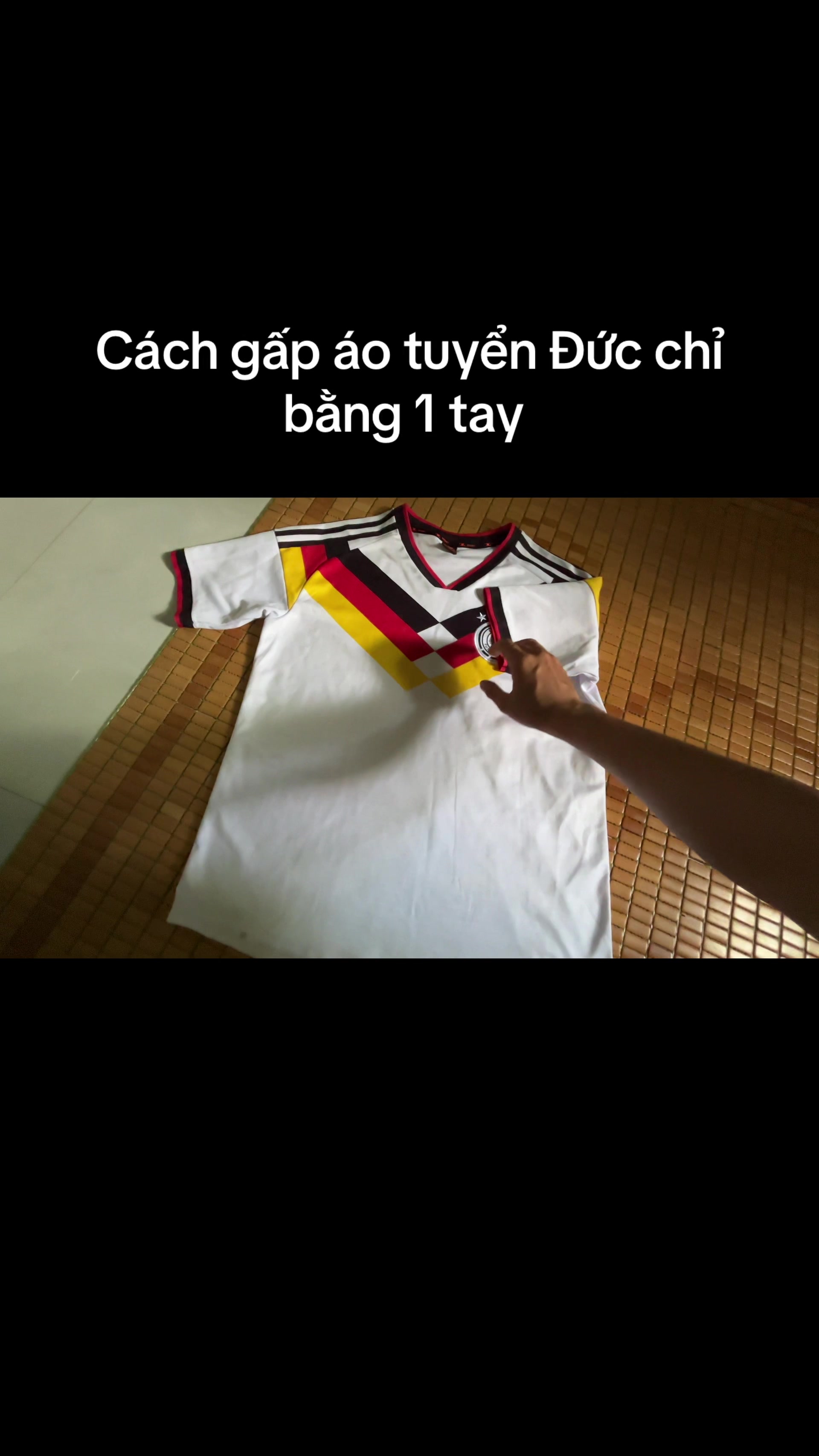 @Mèo thông thái