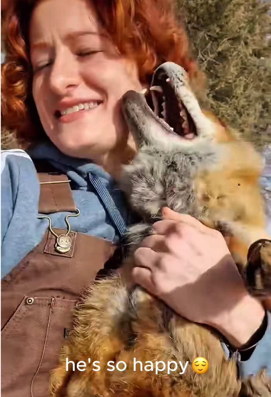 @petsoftiktok