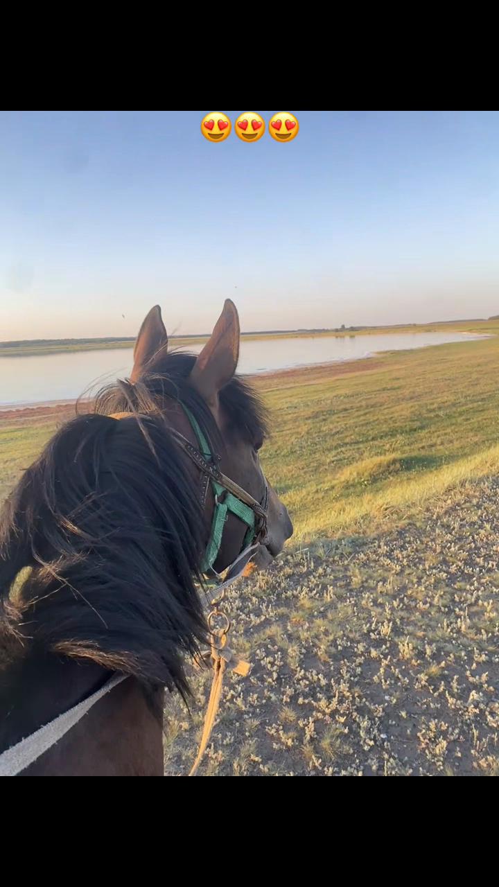 @Какилеев Ескендр