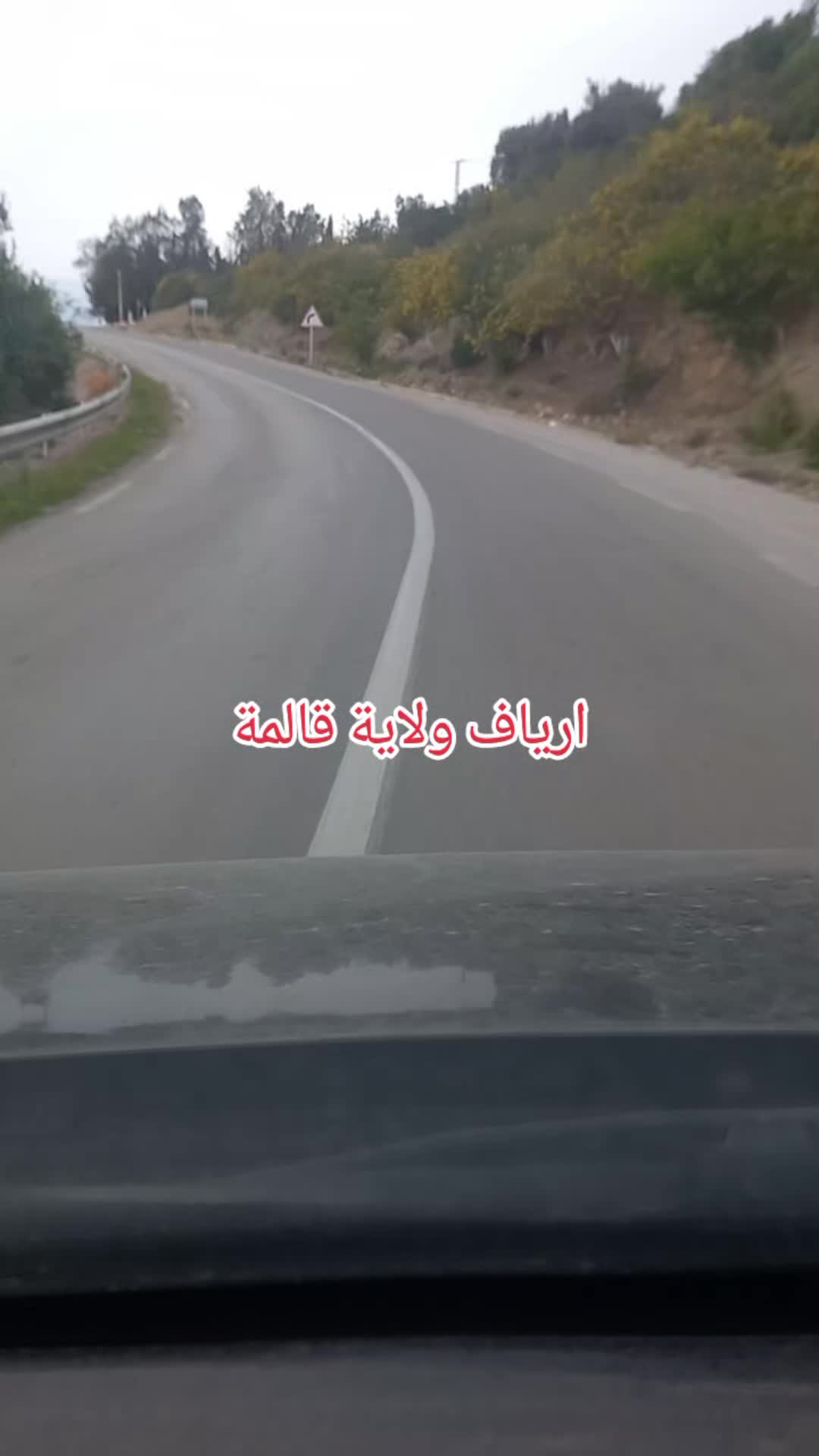 @Guelma 24🇩🇿