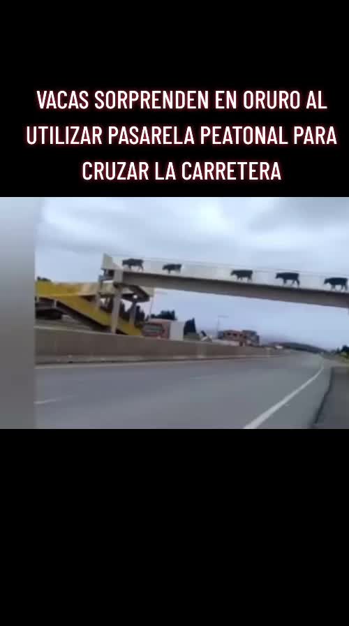 @IldaMV