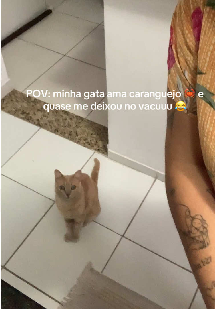 @&Aacute;dila C. B. Souza