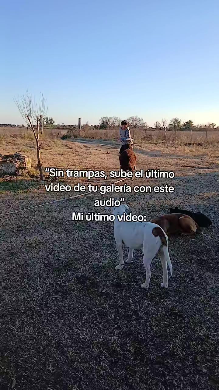 @Eli Petrelli♡